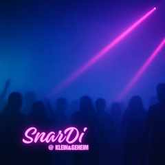 🎧 SnarDi @ Klein & Geheim // Basel 2020
