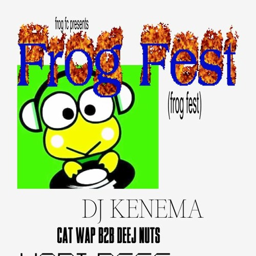 cat wap b2b deej nuts @ frog fest 2021