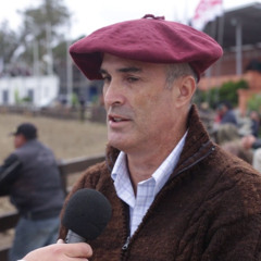 Martín Gurméndez - Freno de Oro