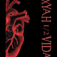 MERLÍN HARDTRANCE XYAH.1/2VIDA