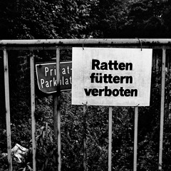 Arion Rave 2021 Aachen,DE