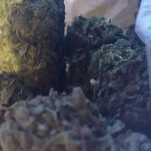 GRIND MODE BUG DA38-FT. LADY DEEZY