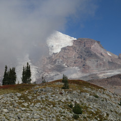 140 China 260308 [260308]