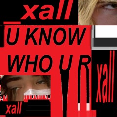U Know Who U R (ft. Vapor's Analog)