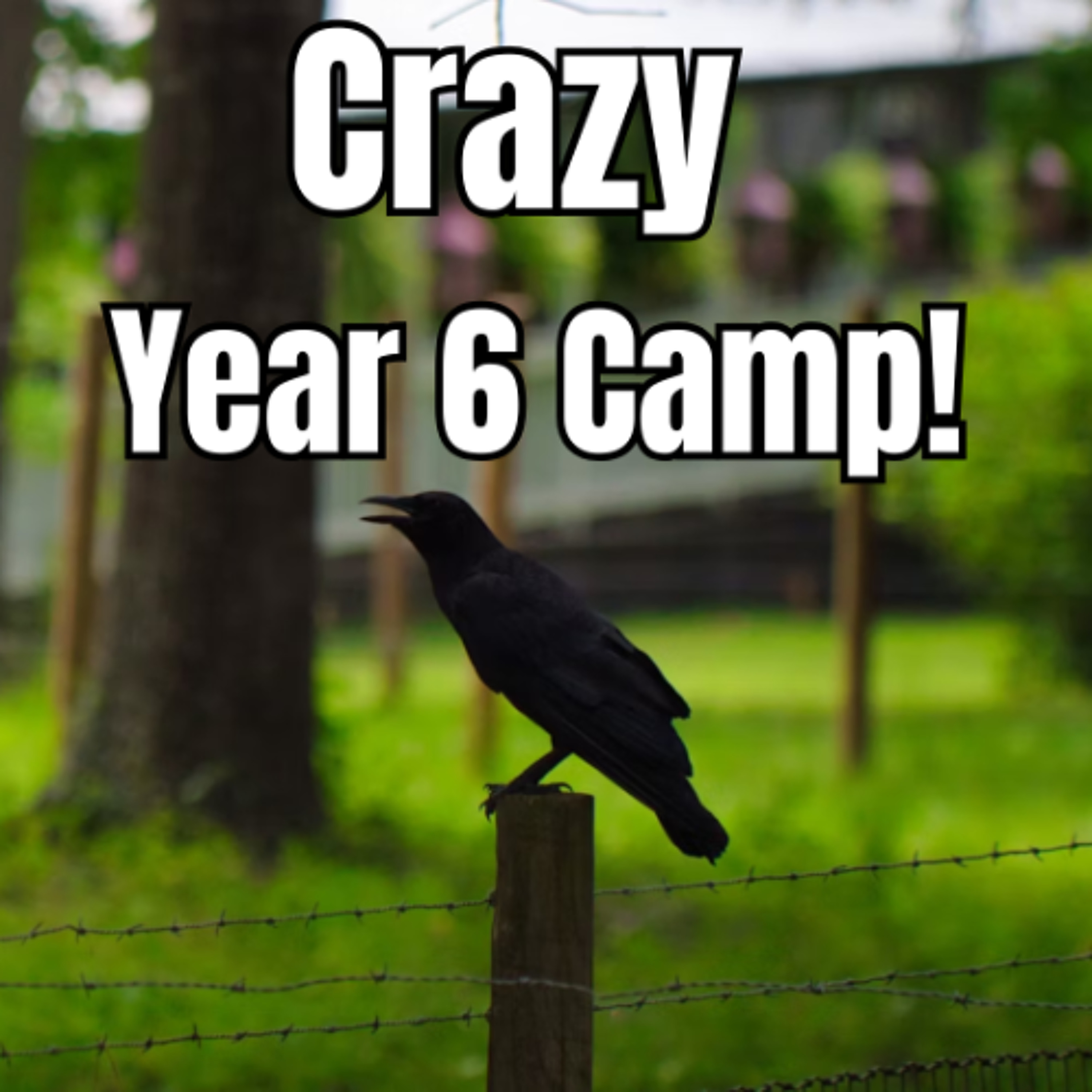Crazy Year 6 Camp! - Monique, Willow, Ava and Charlotte - St Gabriel's School
