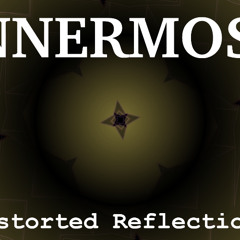 Distorted Reflections
