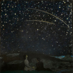 Fabio Luz - Le ciel étoilé - from Le jardin des anges II - Campinas - 2022