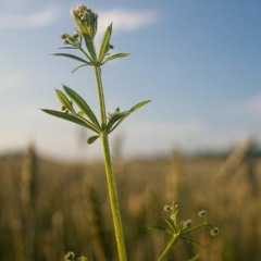 Retiro para renacer y crecer - Dia 13