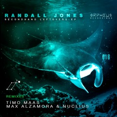 Randall Jones - Secondhand Leftovers (Timo Maas Remix)