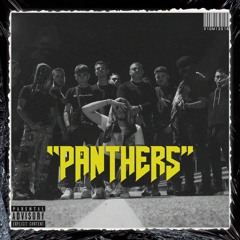 DMS - Panthers