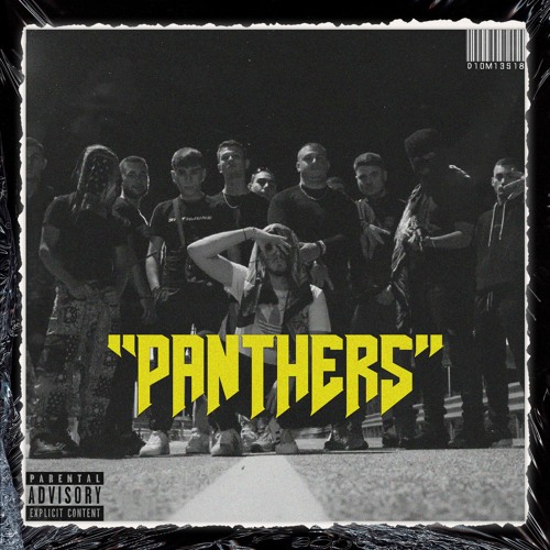 DMS - Panthers