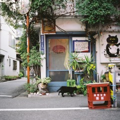 Obscura w/ Jake De Glanville, Guttersnipe & Barkley Bandon