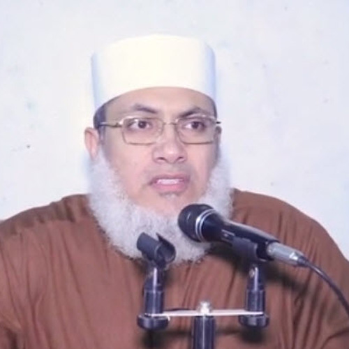براءة الصحابة - ( 2 )  - أبو بكر الصديق - (1) - د.السيد البشبيشي