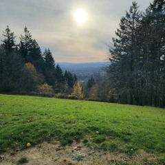 Outside