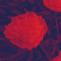 Dep_Xoph - Drag A Body To The Lake (Remix) Ft. 999VloneQuinn (Prod. ZER0)