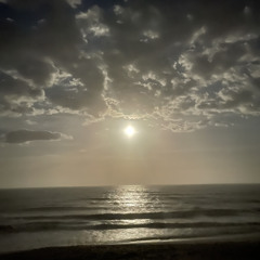 Waves Of No Love