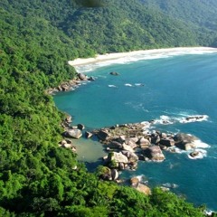 Tropical Progressive Paradise