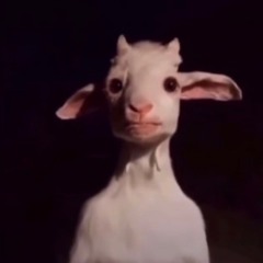 ***Bexpainx ***Leak*** - wishin well