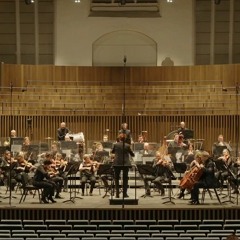(2021) Mulleman - Anacrouse (for Symfoniorkest Vlaanderen)