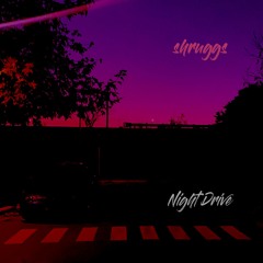 shruggs - Night Drive