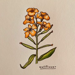 Wallflower