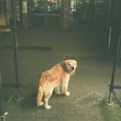 king Krule - it’s all Soup now!