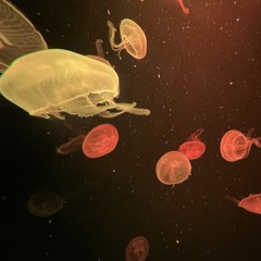 Alien Afterparty (v2)