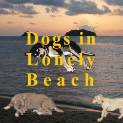 Dogs In Lonely Beach (론리 비치의 개들)