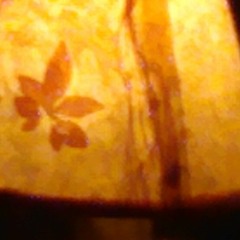 Kiss My Head, Tell Me I'm Pretty