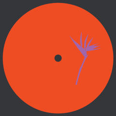 A1. Domo (ES) - Nonsense (Original Mix)