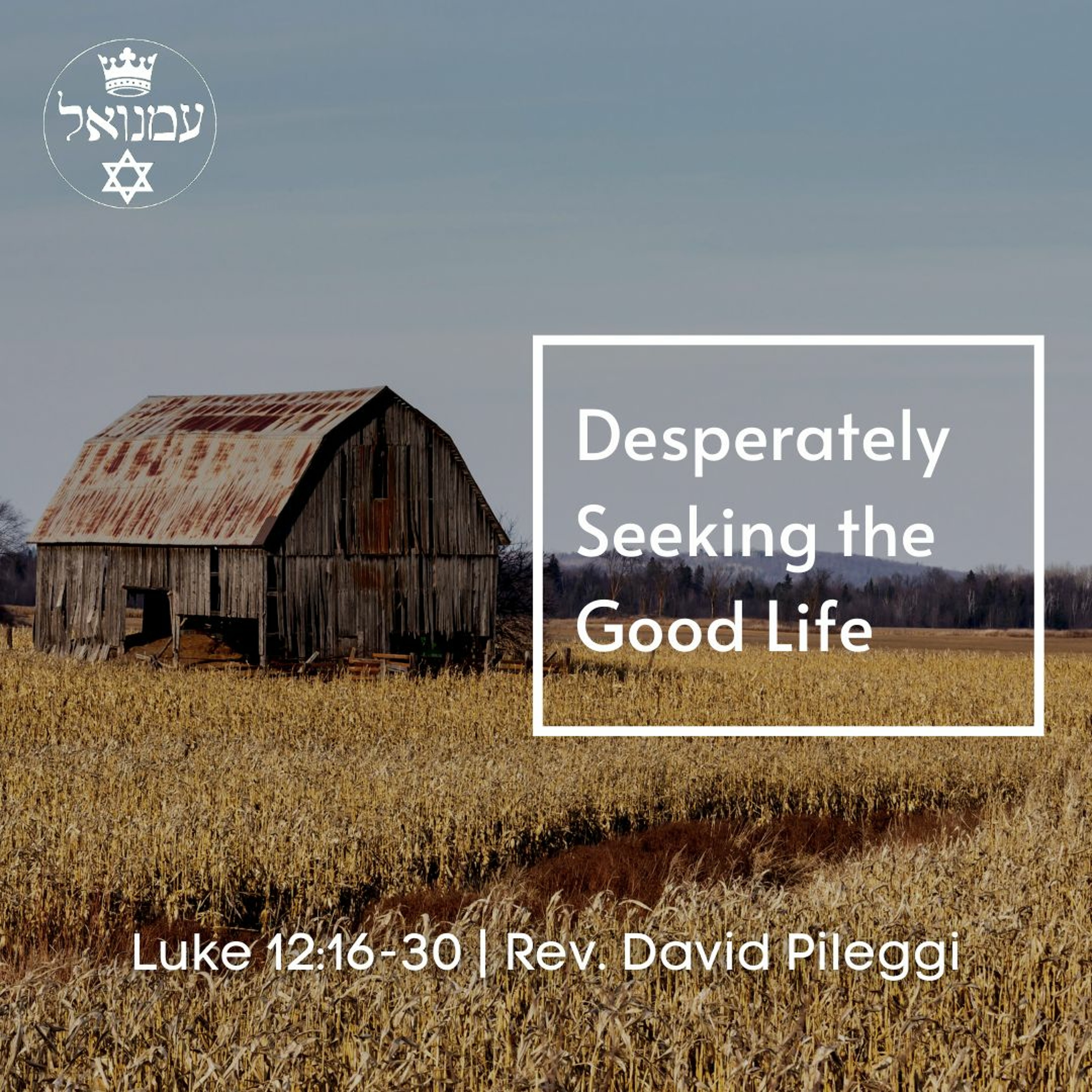 Desperately Seeking the Good Life | Luke 12:16-30 | Rev. David Pileggi