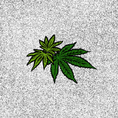 Cali Weed [FREE]