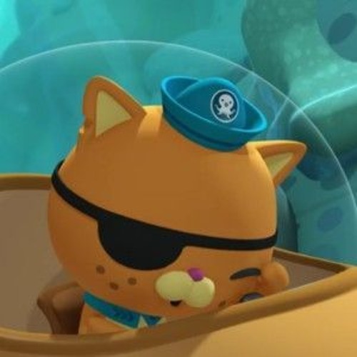 rocket dogs