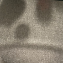 lonely (prod. gnnplugg)