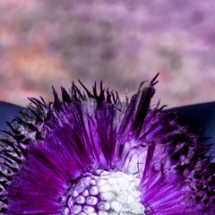 word impact pt. 1 collected