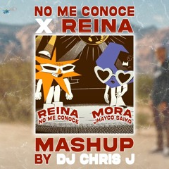 REINA x No Me Conoce (Dj Chris J Mashup) - Mora, Jhayco - Descarga Gratis