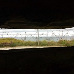 A Report From The Bunker (see description)