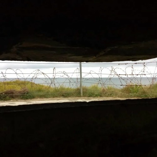 A Report From The Bunker (see description)