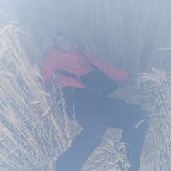 les deux bédos - Décompresse "poliakov2b"