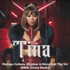Vintage Culture, Bhaskar & Meca Feat The Vic - Tina (DNIR, Crives Remix) FREEDOWNLOAD!!