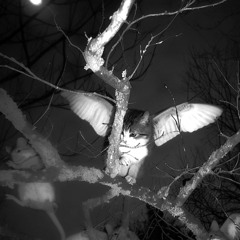 Drunk in love @ihateyousnolax