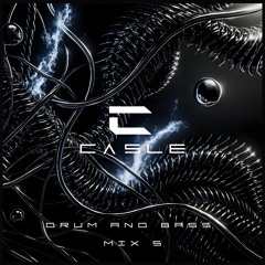 Drum And Bass Mix 5 (Hard Dancefloor)