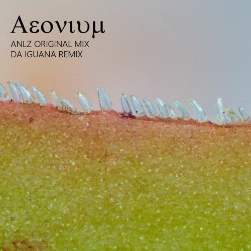 AnLz - Aeonium (Da Iguana Deep Cumbia Rmx)