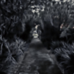 Walk Alone