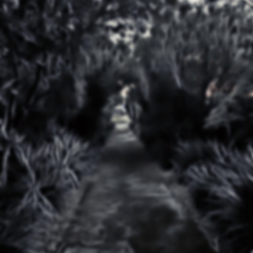 Walk Alone