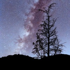 UNDERNEATH THE STARS COVER