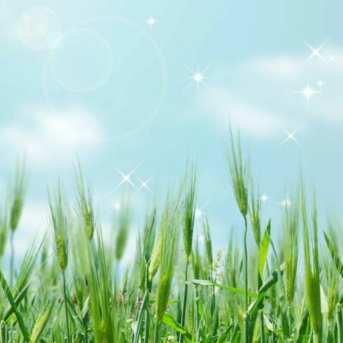 BdテレフォンセックスImosexBdルポルタージュ background music for presentation DOWNLOAD