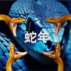 Year Of The Snake