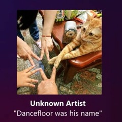 Unknown Song- Dancefloor was his name/(Dance For Hours A Day) Extended