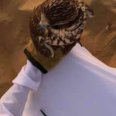 اموت واعرف علامك ماتحاكيني